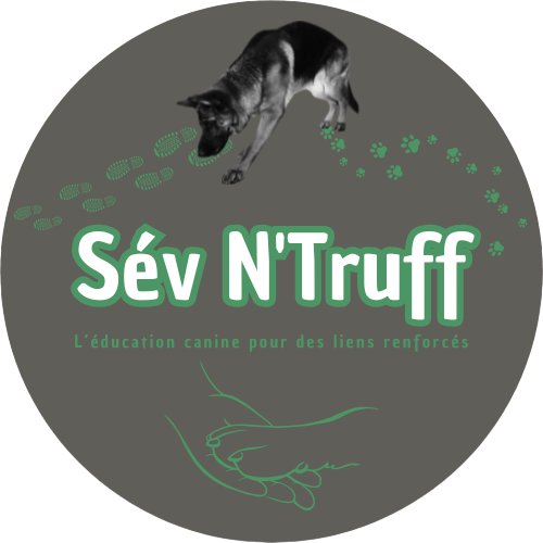 Sev N'Truff