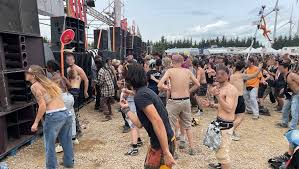 Soirée techno après le toilettage